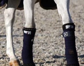 Plenty of leg protection going on