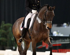 Edward Gal and Next One at the 2012 CDI Drachten :: Photo © Astrid Appels