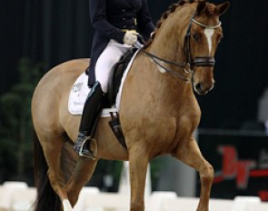 Swedish Michelle Hagman on the drop dead gorgeous Trakehner Rudi's Memory (by Gribaldi)