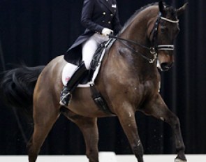 British Sarah Millis on the Australian bred Holsteiner HP Frontier (by Falkrich)