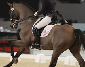 Sanne van Grotel returned to the show ring with her top horse Melvin V (by Flemmingh) after a long period of injury