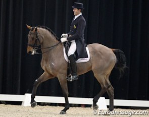 Belgian Wim Verwimp on the Danish warmblood Pari Lani. The bay gelding was bought by Anky van Grunsven as successor for Salinero. He went into training with Kittel and then disappeared. He's now co-owned by Verwimp