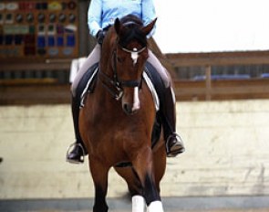 Marcela schooling Molberg