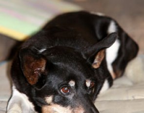 14-year old Sissi