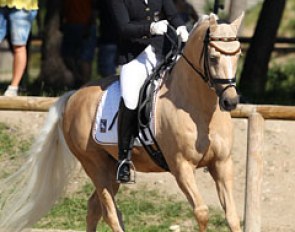 Anna Christina Abbelen on Dornik's Donovan: the pair rode a brilliant canter serpentine with balanced counter canter, but the horse could overall be a bit more elastic and lighter in the hand