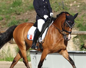 French Camille Boireau on Hesselteich's Desert Rose