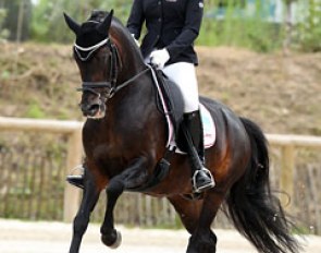 Polish Joanna Tragarz on the bay stallion Prometheus B. The pair is trained by Ulla Salzgeber