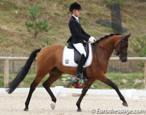 Equestricons Lord Champion :: Photo © Astrid Appels