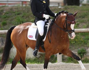 British Hariette Williams on the Welsh bred Madam's Miss Maria