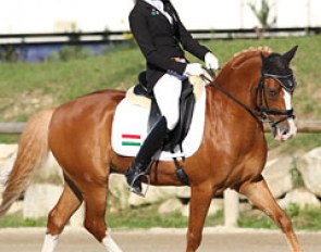Reka Zengo's Ponyto often had his tongue sticking out of his mouth in front