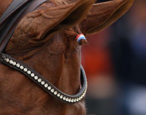 Patriotic Dutch braid of the forelock
