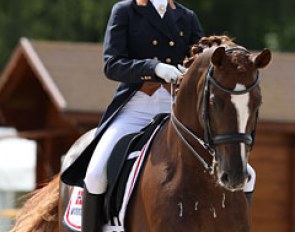 Norwegian Alexandra Andresen on the Hanoverian Belamour (by Belissimo M)