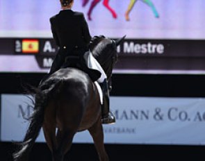 Spanish Alexandra Barbançon on Mr Q. The trot extensions looked fragile, but Mr Q showed fantastic flying changes and very nice half passes