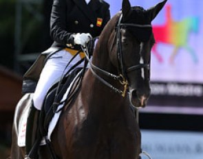 Spanish Alexandra Barbancon was supposed to compete Webbe (by Jazz) but the gelding suffered from a minor colic attack last week and was given extra rest. Mr Q (by Matcho AA) filled his shoes and was the perfect schoolmaster