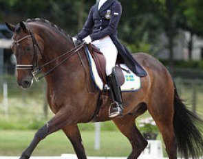 Swedish Filippa Borjeson on Basic. This rider is such a talented star. She has an incredible amount of feeling and rode a beautiful test