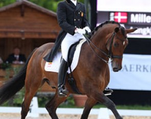 Spanish Andreu Busutil Canovas on the Oldenburg Don Luka (by Don Larino). The pair had quite a few irregularities in trot but executed very strong canter work