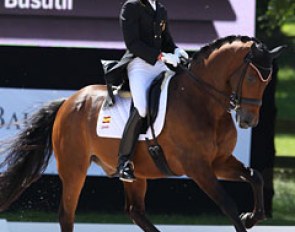 Spanish junior rider shooting star Andreu Busutil Canovas on Don Luka (by Don Larino). The pair scored 70.000 and qualified for the Kur
