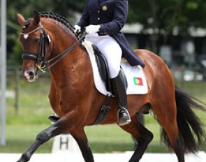 Portuguese individual rider Ana Filipe Carneiro on the Lusitano Treinado