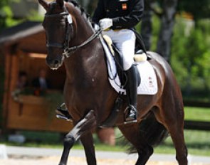 Luis Cerrillo Sopena and Saturday Night Fever at the 2012 European Junior/Young Riders Championships :: Photo © Astrid Appels