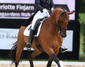 Norwegian Charlotte Finjarn on the Danish warmblood gelding Svalegaardens Walk on Water (by Walt Disney I x Akinos)