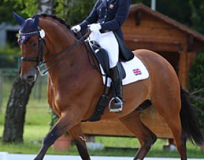 Gaby Lucas and Laurentius at the 2012 European Junior Riders Championships in Berne, Switzerland :: Photo © Astrid Appels
