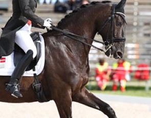 Danish Cecilie Lyndrup and Lambada were on strong form in the freestyle, riding big changes and well cadenced trot movements