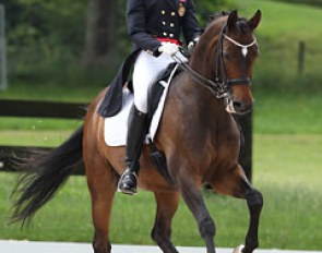 Norwegian Pernille Markusson on the Trakehner bred Supertramp