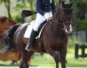 Camilla Mauro and Santo Stefano Francis at the 2012 European Junior/Young Riders Championships :: Photo © Astrid Appels