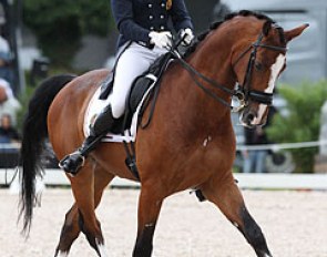 The sole Belgian pair in the Young Riders Kur to Music was Laurence Roos on the Dutch bred Ambaro Saturnus (by Montecristo). The combination is trained by Jeroen Devroe