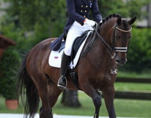 Slovenian Ursa Rot on Annika's Donna (by Travolta's Nieuwmoed x Goodwill)