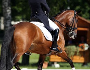Antoinette te Riele on Ziggy