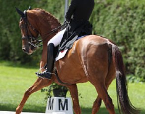 Danish Mille Larsen Warncke on the Grand Prix level competed Donna Fetti (by Don Schufro)