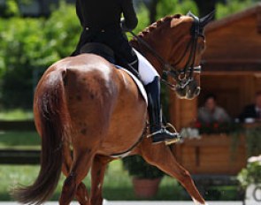Anna Zibrandtsen on Capriciella