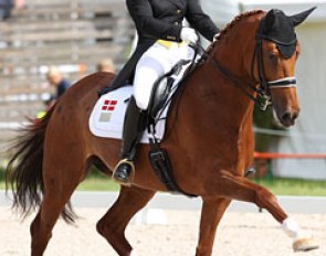 Swedish based Danish Anna Zibrandtsen on Capriciella (by Cordoba) finish sixth