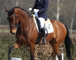 Sandra de Kort on Bluf (by Scandic x Cocktail). This gelding has fantastic cadence in trot but was quite downhill, especially in canter (just like his sire).