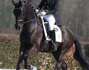 Iris Groeneveld on Boogie Woogie (by Tango x Metall). The black gelding excelled in canter but struggled with the contact and flying changes