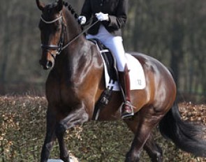 Jessica Gunning on Capetown's Cieran (by Jimtown x Belfalas). The canter and walk were the highlight of this horse