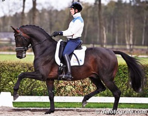 Severo Jurado Lopez and Chippendale :: Photo © Esmee van Gijtenbeek