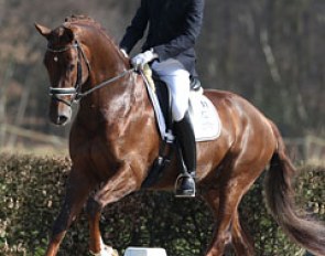Hans Peter Minderhoud and Vitalis :: Photo © Astrid Appels