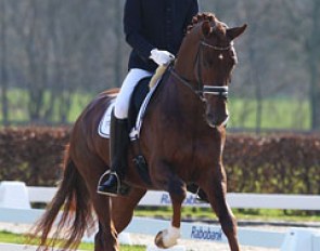 Hans Peter Minderhoud and Vitalis (by Vivaldi x D-Day)