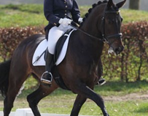 Jeanine Nieuwenhuis on Baldacci (by Havidoff x Rubiquil). This pair is doing well in the Dutch junior riders' circuit but at the wild card day Baldacci lacked in suppleness and scope to earn a ticket for the selection trials
