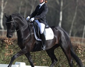 Shani Pitcho on the gorgeous black mare Chireine (by Painted Black x Cabochon x Maestro) who was quite spooky and impressed by her surroundings