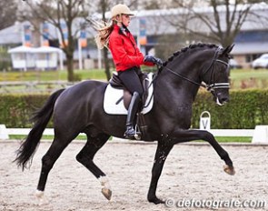 Dinja van Liere and Capri Sonne (by Rhodium) at the Dutch WCYH Selection Trial :: Photo © Esmee van Gijtenbeek