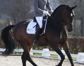 Clementine Voest on the gelding Corleone VH (by Winningmood x Oscar). The contact with the bit was still very unsteady, which meddled with the overall impression of this long-framed young prospect.