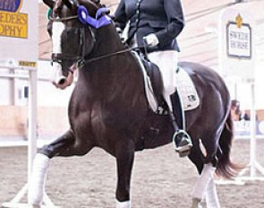 Anna Sundstrom on Luxus CML