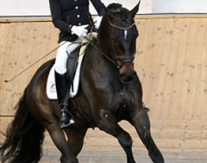 Anna Svanberg on Revolution (by Skovens Rafael x Furst Heinrich) :: Photo © Patrick Olsson