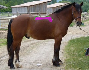how to place the saddle correctly