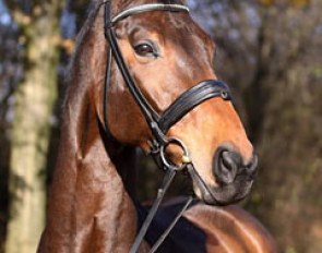 Revolverheld B (by Rubin Royal x Ataturk x Cavalier)
