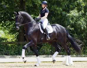 Jana Freund on Enzo Ferrari 