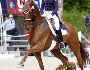 Heather Blitz and Paragon at the 2012 U.S. Dressage Championships :: Photo © Sue Stickle
